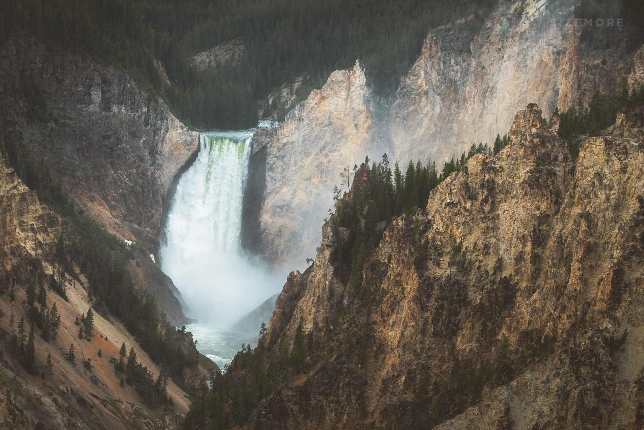 Photoessay: June in Yellowstone